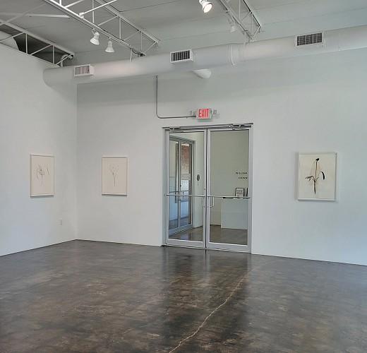 Randy Twaddle: Back to the Garden - Installation View