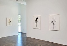 Past Exhibitions Randy Twaddle: Back to the Garden Oct 19, 2024 - Mar  8, 2025