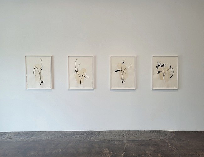 Randy Twaddle: Back to the Garden - Installation View