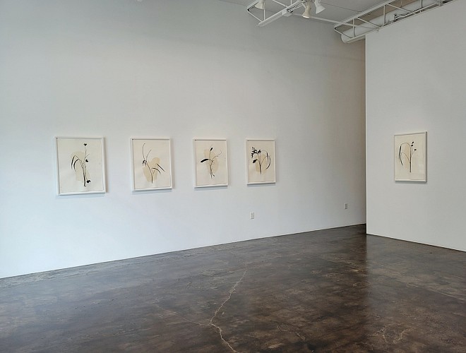 Randy Twaddle: Back to the Garden - Installation View