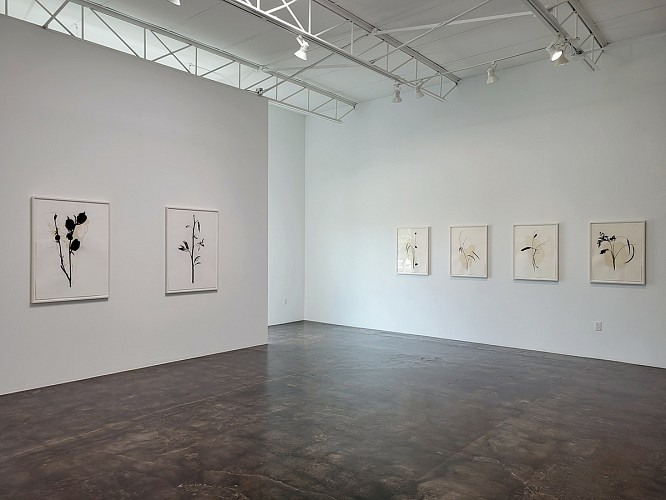 Randy Twaddle: Back to the Garden - Installation View
