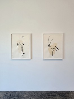 Randy Twaddle: Back to the Garden&nbsp;