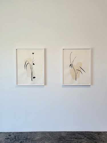 Randy Twaddle: Back to the Garden - Installation View