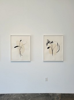 Randy Twaddle: Back to the Garden&nbsp;