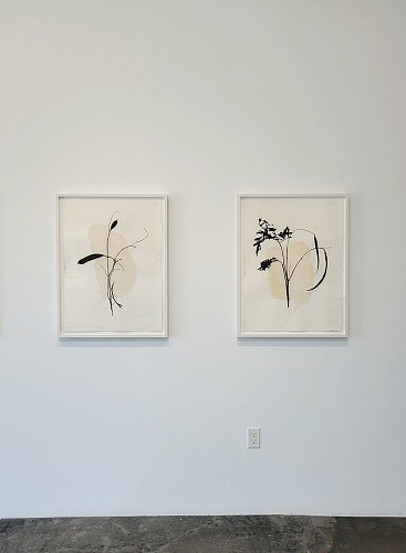 Randy Twaddle: Back to the Garden - Installation View