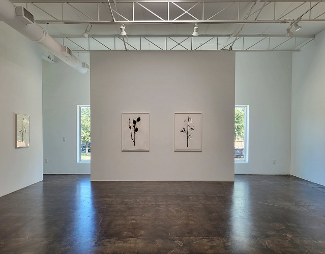 Randy Twaddle: Back to the Garden - Installation View