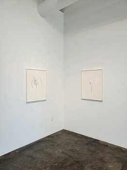 Randy Twaddle: Back to the Garden&nbsp;