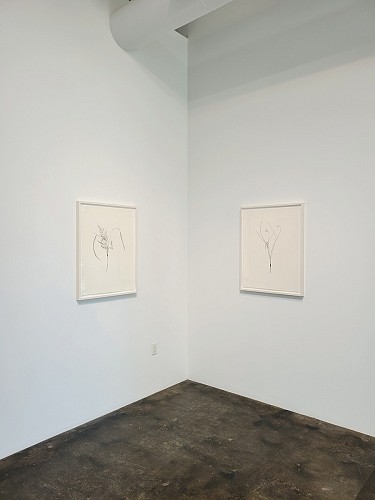 Randy Twaddle: Back to the Garden - Installation View