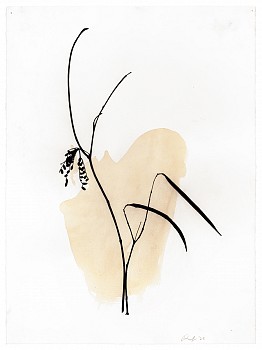 Randy Twaddle: Back to the Garden&nbsp;