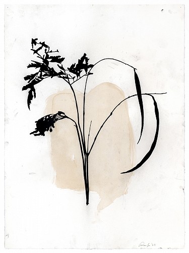 Randy Twaddle: Back to the Garden - Installation View
