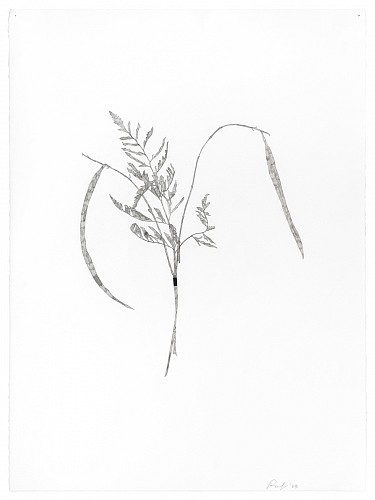 Randy Twaddle: Back to the Garden - Installation View