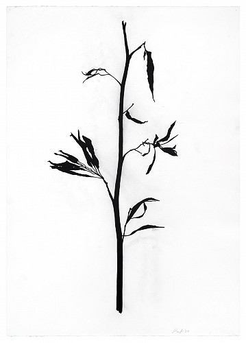 Randy Twaddle: Back to the Garden - Installation View