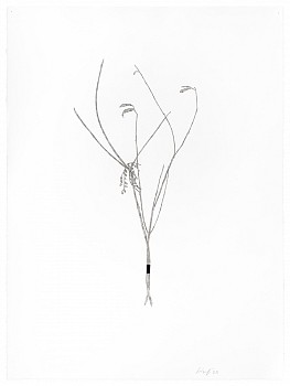 Randy Twaddle: Back to the Garden&nbsp;