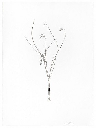 Randy Twaddle: Back to the Garden - Installation View